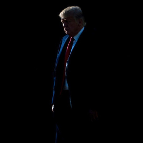 Meet your Posher, Luna!! - Picture 2 of 2